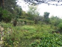 Terreno Edificabile in vendita a Seborga - Rif. 0136